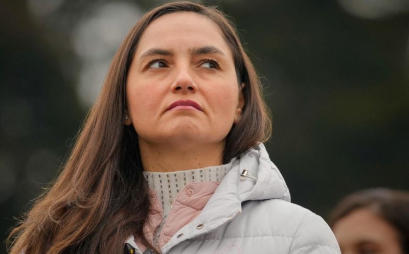 Anamaria Gavrilă: "POT va susține un guvern tehnocratic desemnat de președintele Nicușor Dan"