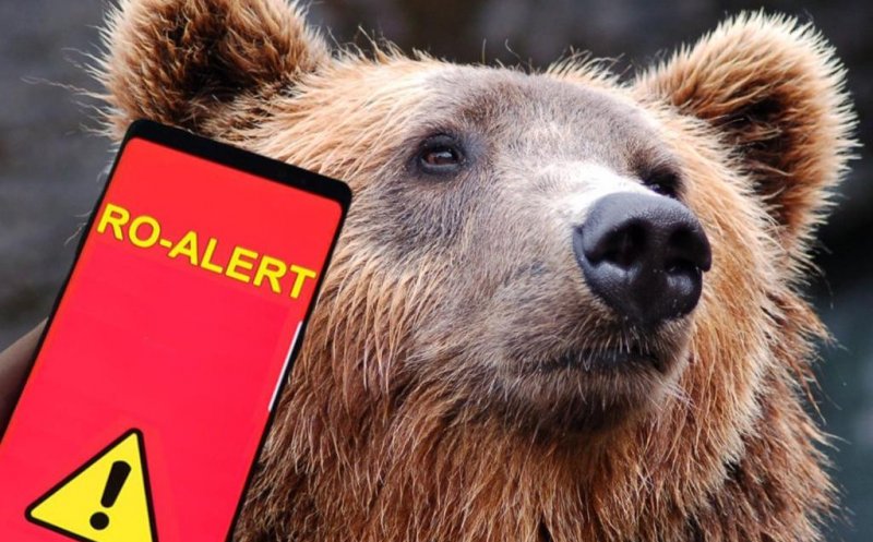 URȘI semnalați joi noaptea în câteva localități din Alba, județ vecin Clujului / ISU a transmis mesaje RO-ALERT