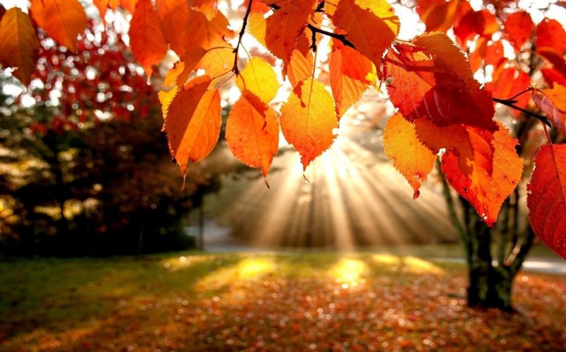 Temperaturi uşor peste normal în octombrie; sfârşitul lui septembrie aduce ploi