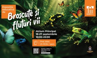 Dog Walk Series, târg de antichități și Expoziția educativă de broscuțe și fluturi vii, la Iulius Mall Cluj