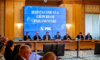 Mircea Abrudean, după întâlnirea cu premierul desemnat: „Au fost discuții foarte bune”
