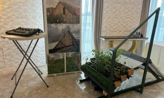 Grădină de ardei și roșii, pe un acoperiș din Transilvania. Urmează cultura de cartofi și fasole :)