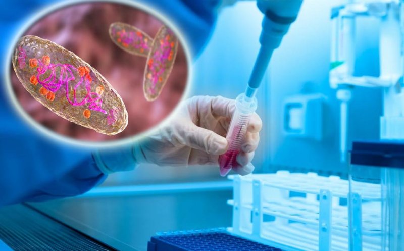 Organizațiile sanitare, în alertă după cazul de ciumă pulmonară din Rusia. Aproape 200 de persoane, puse în carantină