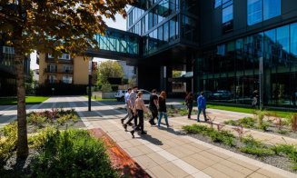 TOP 50 companii din Cluj: Schimbări în vârful clasamentului între 2008-2025