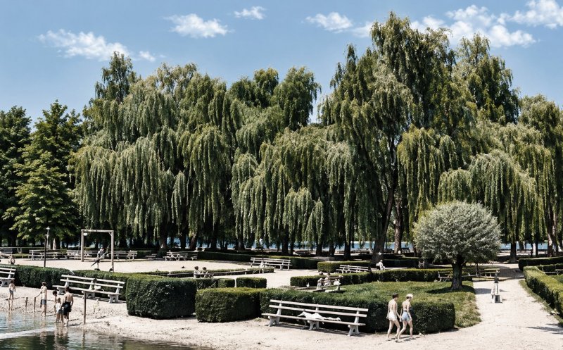 Clujul verde al anilor '50 – parcuri, grădini și peisaj urban