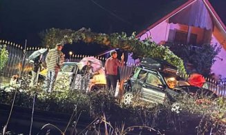 Accident GRAV între două mașini și un camion la Livada! Descarcerarea, SMURD-ul și un echipaj SAJ, la fața locului/ Traficul este blocat