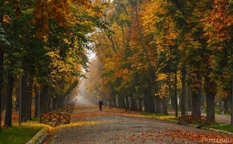 Vremea se menţine rece. Intensificări ale vântului şi precipitaţii, până vineri