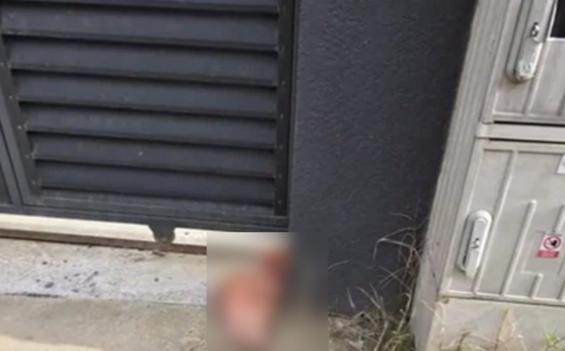 Cofondator AUR a reclamat la Poliție că a găsit un cap de porc în fața porții locuinței sale