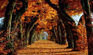 Noiembrie începe cu temperaturi-surpriză. Prognoza meteo pe patru săptămâni