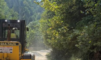 Investiții în infrastructura rutieră și educațională a unei comune clujene. Banii vin din fondul de rezervă al județului