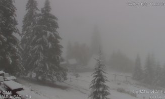 Imagini spectaculoase în județul Cluj. Ninge abundent, iar vizibilitatea este redusă drastic