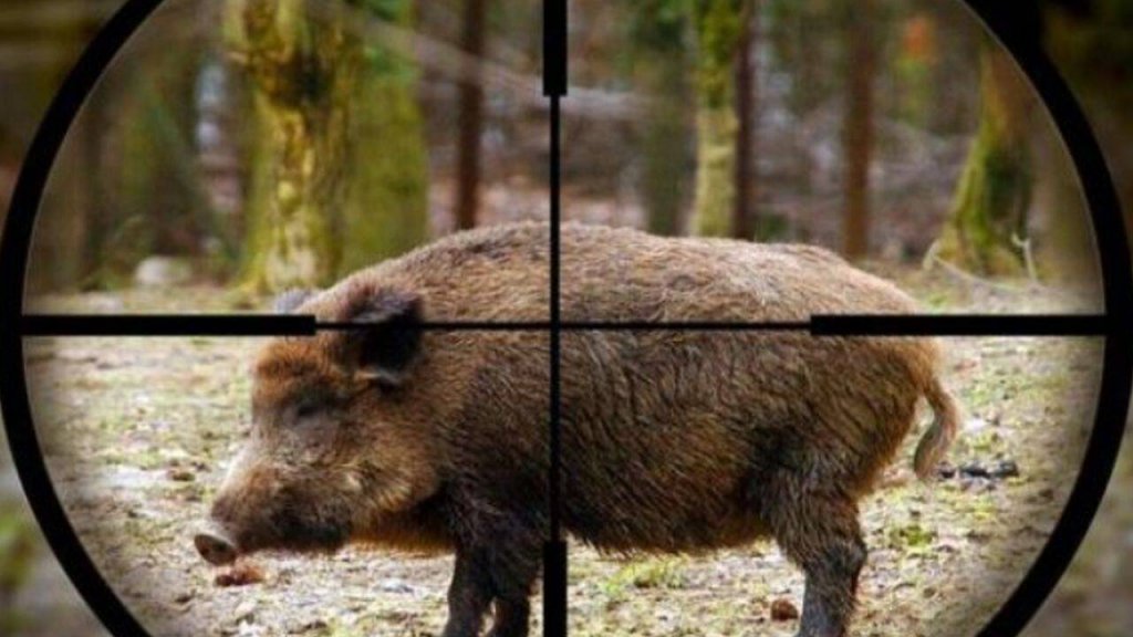 Femeie împușcată mortal în Maramureș. Ar fi fost confundată cu un animal sălbatic