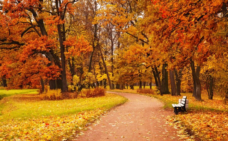 Prognoza meteo până de Sf. Andrei. Cum va fi vremea în ultima lună de toamnă